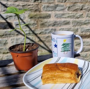 A mug with a child's drawing of a Christmas Tree on it, on a wooden outdoor table, placed next to a pain-au-chocolat on a plate and a sunflower seedling in a pot. The background is a stone wall.